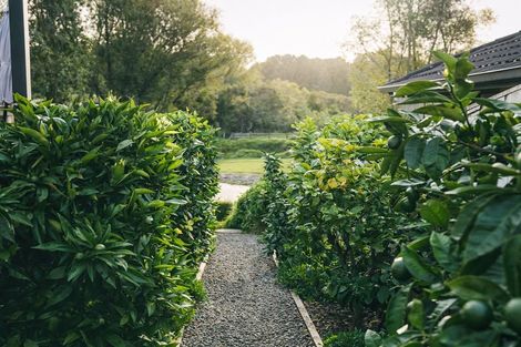 Photo of property in 3 Glory Way, Buckland, Pukekohe, 2677