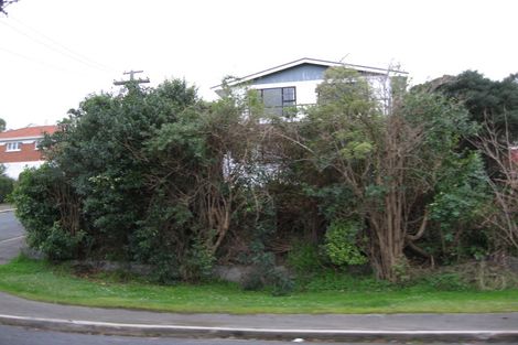 Photo of property in 42 Orbell Street, Dalmore, Dunedin, 9010