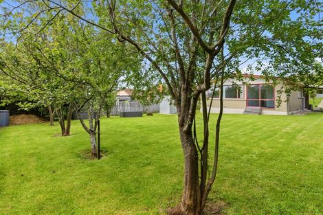 Photo of property in 290 Brockville Road, Brockville, Dunedin, 9011