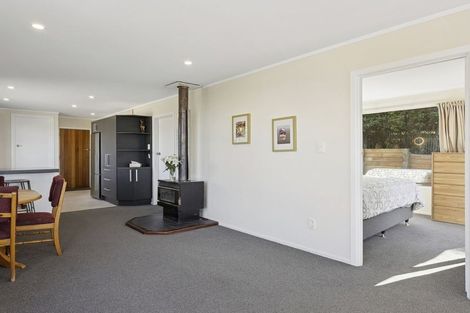 Photo of property in 17 Seaview Road, Brighton, Dunedin, 9035