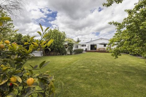 Photo of property in 76 Denbigh Street, Feilding, 4702