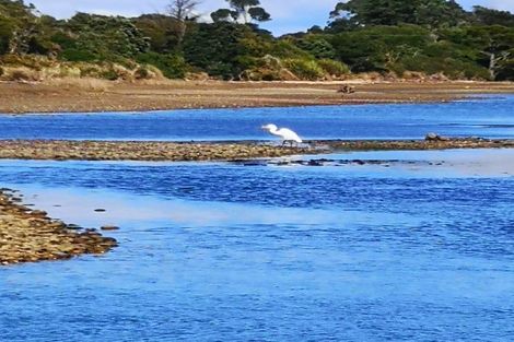 Photo of property in 9 Pakawau-bush Road, Pakawau, Collingwood, 7073