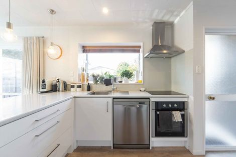 Photo of property in 33 Mckain Place, Fitzroy, Hamilton, 3206