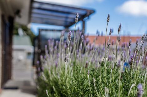 Photo of property in 93b Heads Road, Gonville, Whanganui, 4501