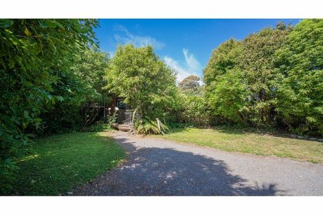 Photo of property in 43 Donegal Street, Belfast, Christchurch, 8051