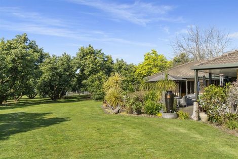 Photo of property in 61b Gill Lane, Te Puna, Whakamarama, 3174