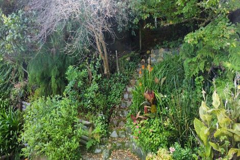 Photo of property in 25 Creagh Street, Tapu, Thames, 3575