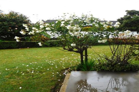Photo of property in 28 Ngaere Avenue, Chartwell, Hamilton, 3210