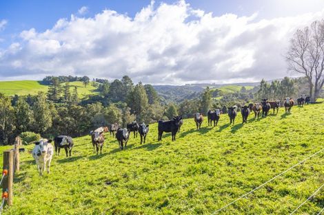 Photo of property in 485 Mangati Road, Puketotara, Te Awamutu, 3876