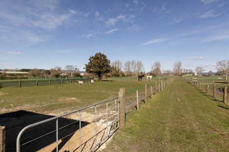 Photo of property in 84 Grieve Road, Otakiri, Whakatane, 3193
