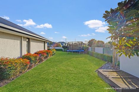 Photo of property in 1 Appleton Place, Woodend, 7610