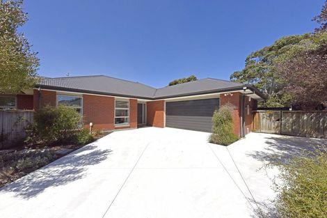 Photo of property in 1b Moule Street, Addington, Christchurch, 8024