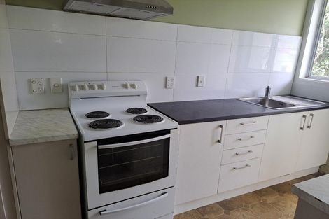 Photo of property in 355 Mount Albert Road, Mount Roskill, Auckland, 1041