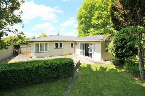 Photo of property in 20 Papanui Street, Tokoroa, 3420
