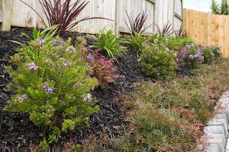 Photo of property in 5 Maggie Place, Te Kauwhata, 3710