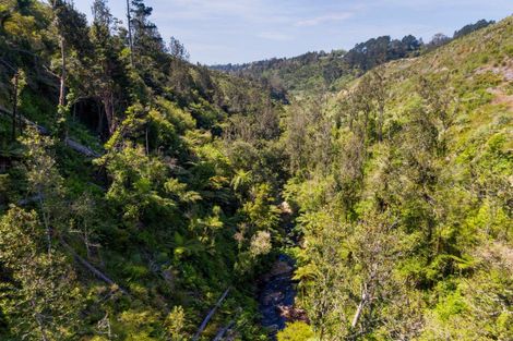 Photo of property in 316b Waitao Road, Waitao, Tauranga, 3175