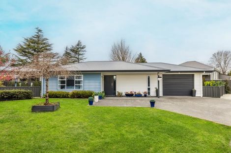 Photo of property in 36a Te Aute Road, Havelock North, 4130