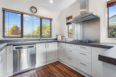 Photo of property in 47 Birchfield Avenue, Dallington, Christchurch, 8061