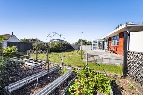 Photo of property in 54 Cressida Avenue, Stratford, 4332