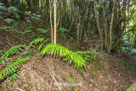Photo of property in 151 Kamahi Street, Stokes Valley, Lower Hutt, 5019