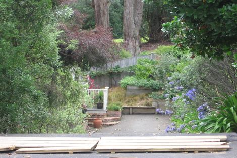 Photo of property in 21 Schofield Street, Grey Lynn, Auckland, 1021