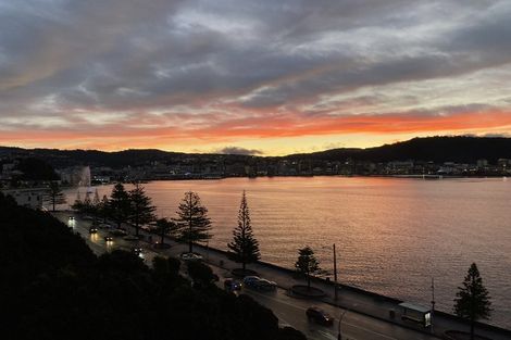 Photo of property in The Capital, 370 Oriental Parade, Oriental Bay, Wellington, 6011