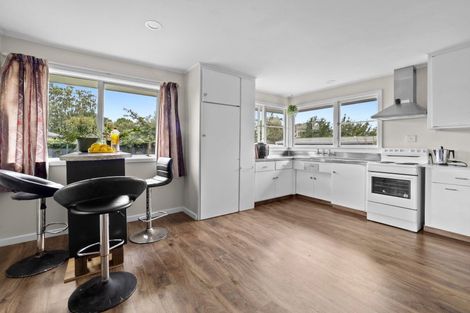 Photo of property in 77 Princes Street, Netherby, Ashburton, 7700