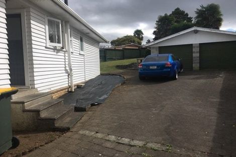 Photo of property in 19 Minifie Avenue, Melville, Hamilton, 3206