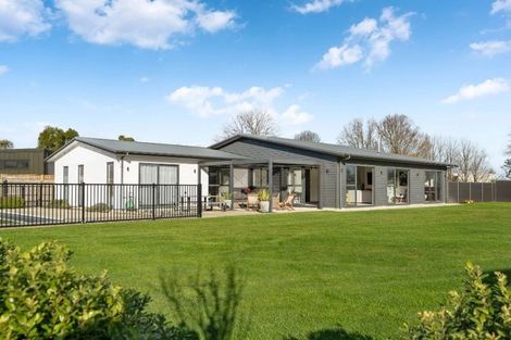 Photo of property in 30 Whatman Avenue, Masterton, 5810