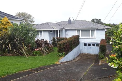 Photo of property in 53 Rogan Street, Mount Roskill, Auckland, 1041