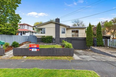 Photo of property in 17 Morris Road, Hillcrest, Hamilton, 3216