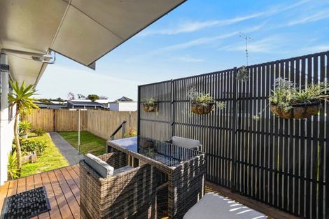 Photo of property in 8a Solomon Street, Brookfield, Tauranga, 3110