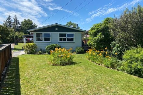 Photo of property in 239 Taupahi Road, Turangi, 3334
