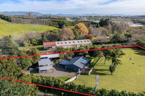Photo of property in 249 Plummers Point Road, Whakamarama, Tauranga, 3172