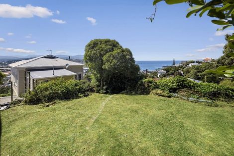 Photo of property in 45 Sutherland Road, Melrose, Wellington, 6023