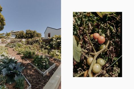 Photo of property in 16 Tilby Drive, Matua, Tauranga, 3110