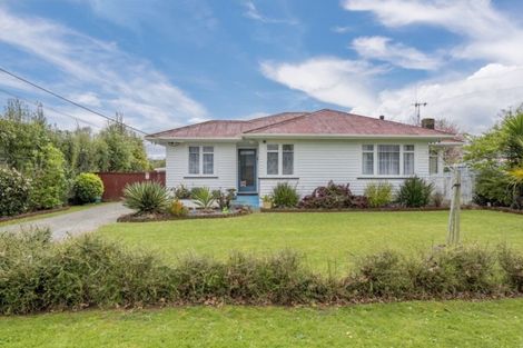 Photo of property in 211 Bath Street, Levin, 5510