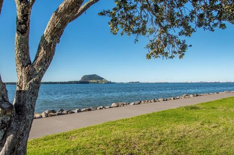 Photo of property in 54 Strathmore Street, Matua, Tauranga, 3110