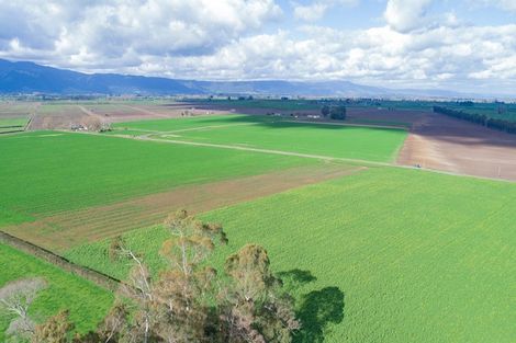 Photo of property in 1310 Alexandra Road, Waharoa, 3474