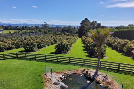 Photo of property in 14 Merrick Road, Pyes Pa, Tauranga, 3173