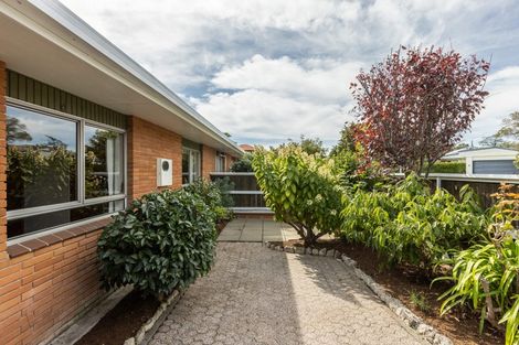 Photo of property in 2/11 Mchardy Street, Havelock North, 4130