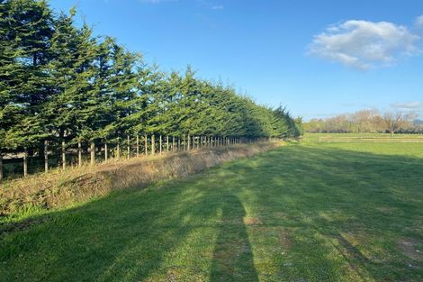 Photo of property in 100a Maungakawa Road, Cambridge, 3496