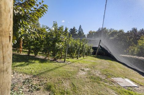 Photo of property in 244 Ripponvale Road, Cromwell, 9384