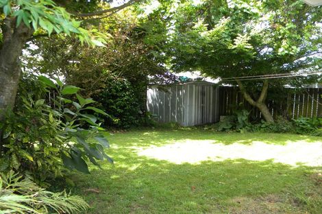 Photo of property in 41 Kowhai Street, Hamilton Lake, Hamilton, 3204