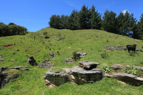 Photo of property in 182 Ohautira Road, Raglan, 3295