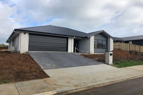 Photo of property in 19 Vercoe Crescent, Morrinsville, 3300