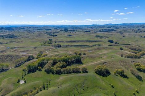 Photo of property in 300 Pattison Road, Akina, Hastings, 4122