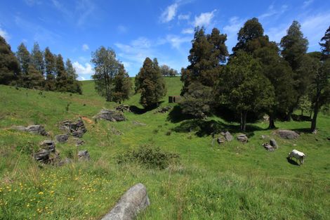 Photo of property in 182 Ohautira Road, Raglan, 3295