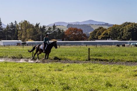 Photo of property in 1891 Oxford Road, Cust, 7471