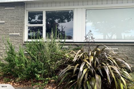 Photo of property in 69 Saint James Avenue, Papanui, Christchurch, 8053